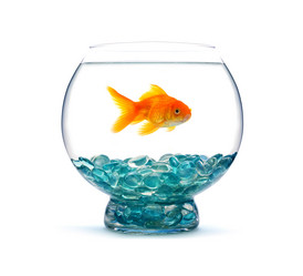 Similar image 1501576