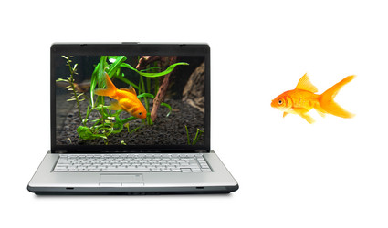 Similar image 1501577