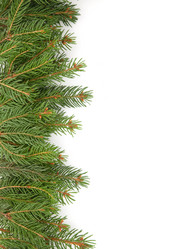 Similar image 1501618