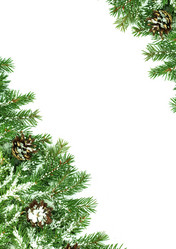 Similar image 1501628