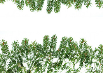 Similar image 1501643