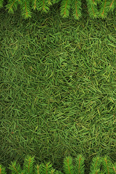 Similar image 1501647