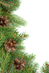 Similar image 1501648