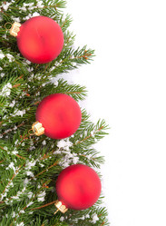 Similar image 1501655