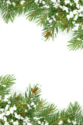 Similar image 1501686