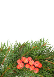 Similar image 1501689