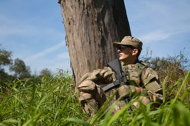 Similar image 1501715