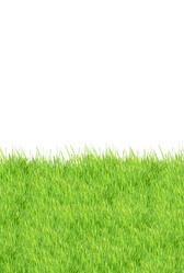 Similar image 1501740