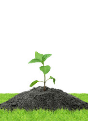 Similar image 1501741