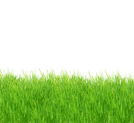 Similar image 1501742