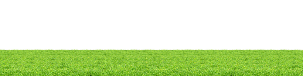 Similar image 1501743