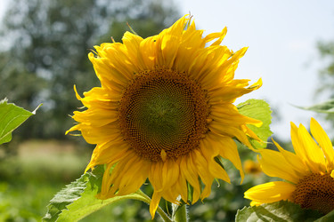 Similar image 1501745