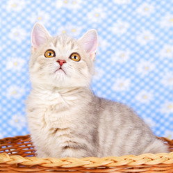 Similar image 1501752