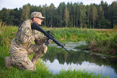 Similar image 1501812