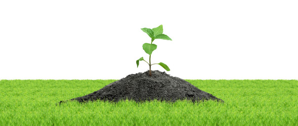 Similar image 1501869