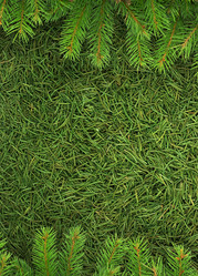 Similar image 1501974