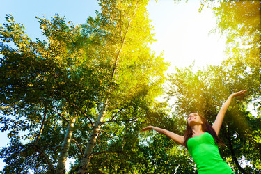 Similar image 1502169