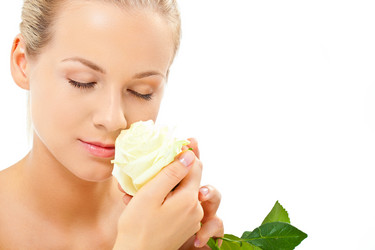 Similar image 1502758