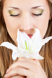 Similar image 1503445