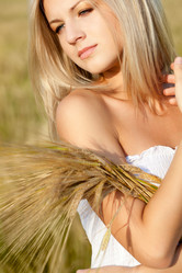 Similar image 1503722