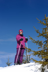 Similar image 1504485