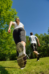 Similar image 1504572