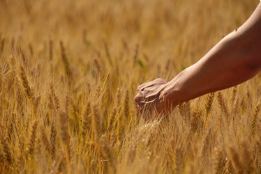 Similar image 1504584