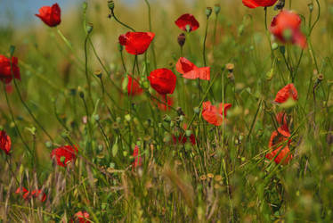 Similar image 1504640