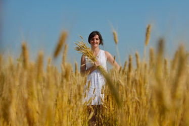 Similar image 1504665