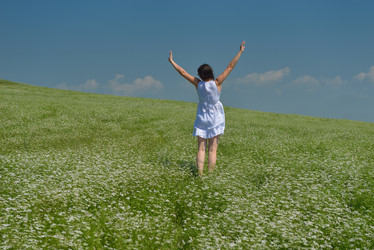 Similar image 1504764