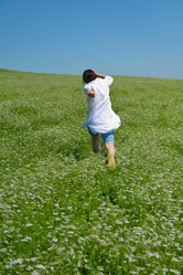 Similar image 1504794