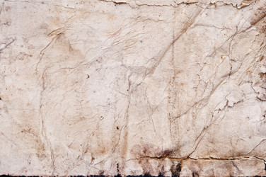 Similar image 1504899