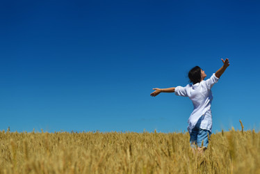 Similar image 1505058