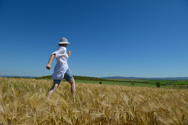 Similar image 1505161