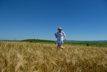 Similar image 1505163