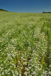 Similar image 1505214