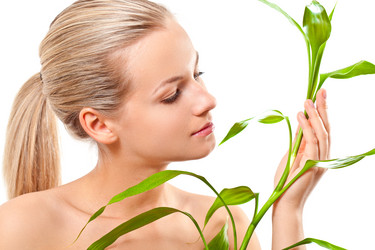 Similar image 1505337