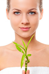 Similar image 1505338