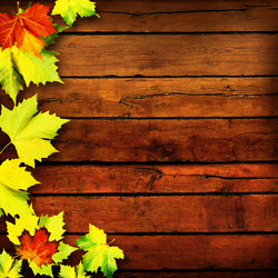 Similar image 1505352