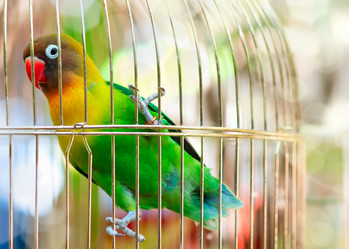 Similar image 1505361