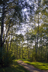 Similar image 1505362