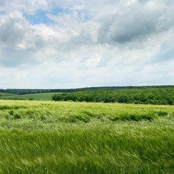 Similar image 1505365