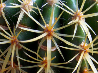 Similar image 1505387