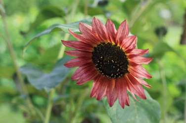 Similar image 1505432