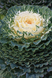 Similar image 1505433