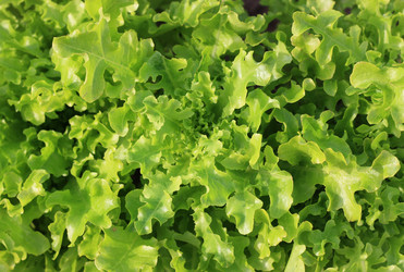 Similar image 1505434