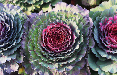 Similar image 1505435