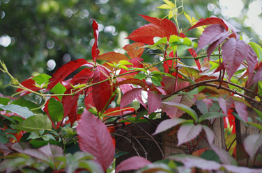 Similar image 1505439