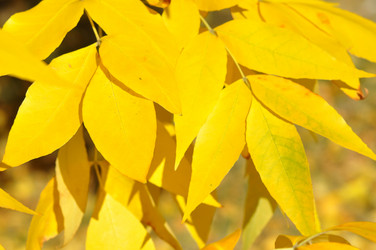 Similar image 1505465