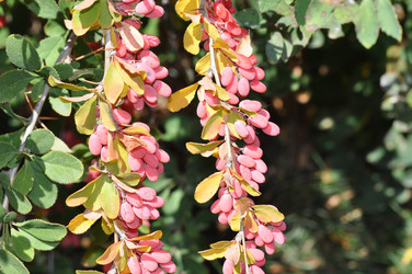 Similar image 1505467